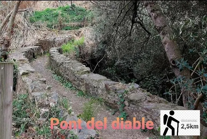 Apartamento Mar y montaña en la costa del Maresme Pineda De Mar España